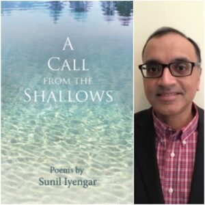 A Call from the Shallows by Sunil Iyengar