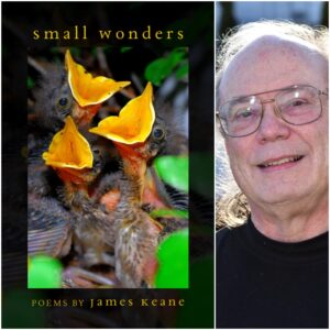 Small Wonders by James Keane