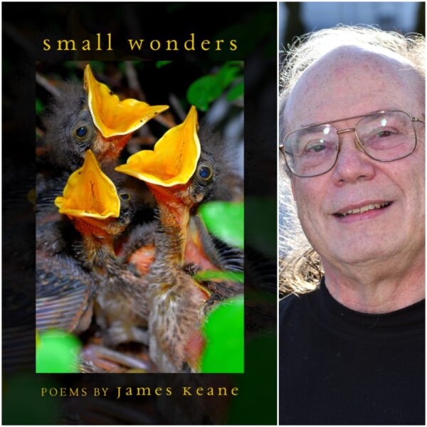 Small Wonders by James Keane
