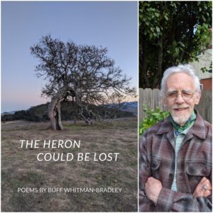 The Heron Could be Lost by Buff Whitman-Bradley