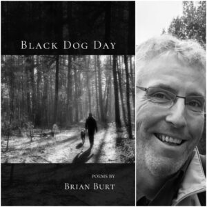 Black Dog Day by Brian Burt