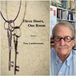 Three Doors, One Room. by Tony Luebbermann