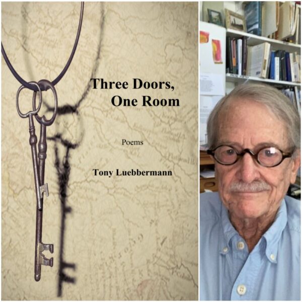 Three Doors, One Room. by Tony Luebbermann