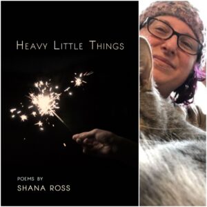 Heavy Little Things by Shana Ross