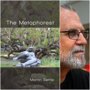 The Metaphorest by Martin Settle