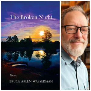 The Broken Night by Bruce Arlen Wasserman