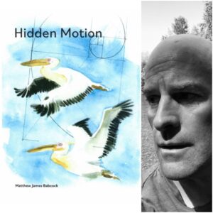 Hidden Motion by Matthew James Babcock