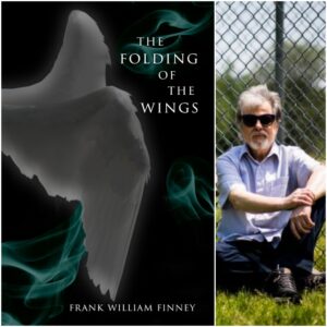 The Folding of the Wings by Frank William Finney