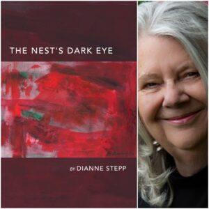 The Nest's Dark Eye by Dianne Stepp