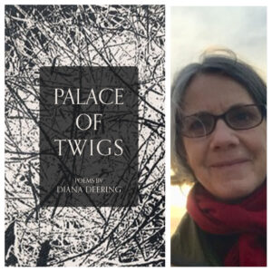 Palace of Twigs by Diana Deering