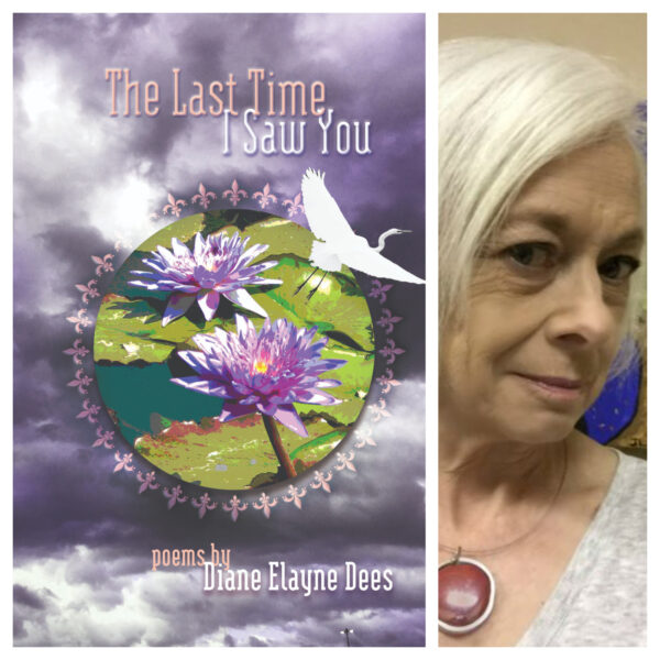 The Last Time I Saw You by Diane Elayne Dees