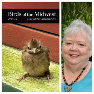 Birds of the Midwest by Jane Hufford Downes
