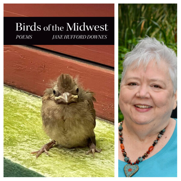 Birds of the Midwest by Jane Hufford Downes