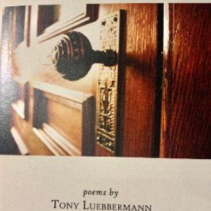 A Short Anatomy of Doorknobs by Tony Luebbermann