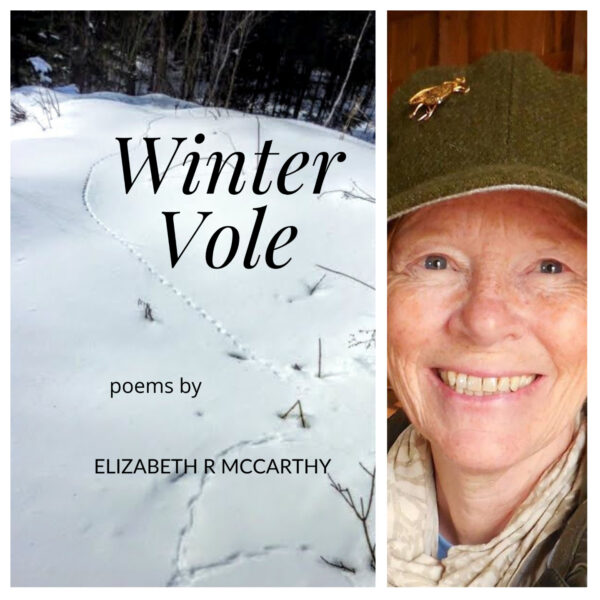 Winter Vole by Elizabeth R. McCarthy
