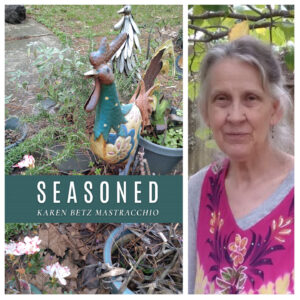 Seasoned by Karen Betz Mastracchio