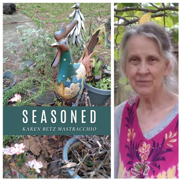 Seasoned by Karen Betz Mastracchio