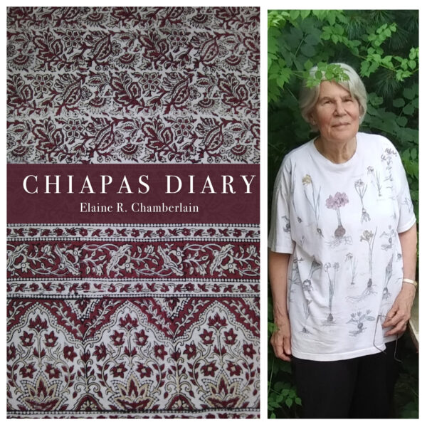 Chiapas Diary by Elaine R. Chamberlain