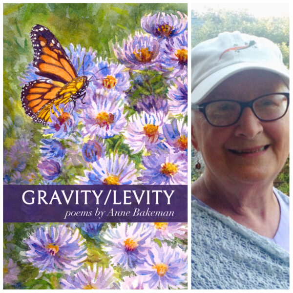 Gravity/Levity by Anne Bakeman