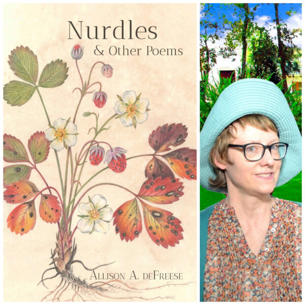 Nurdles and Other Poems by Allison deFreese