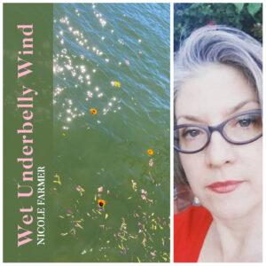 Wet Underbelly Wind by Nicole Farmer