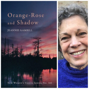Orange-Rose and Shadow by Jeannie Gambill - NWVS #166