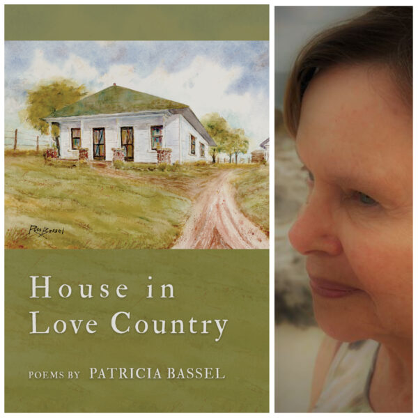 House in Love Country by Patricia Bassel