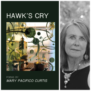 Hawk's Cry by Mary Pacifico Curtis