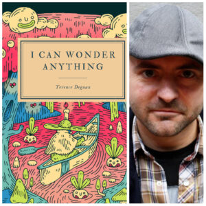 I Can Wonder Anything by Terence Degnan