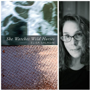 She Watches Wild Horses by Elisa Salasin