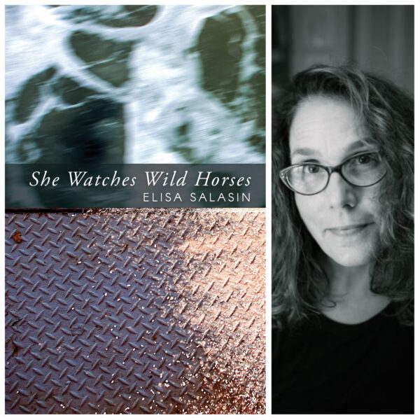 She Watches Wild Horses by Elisa Salasin