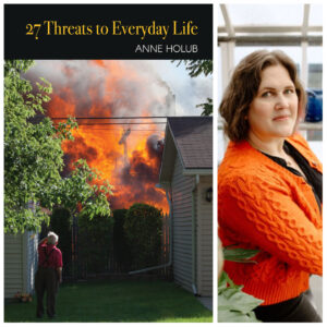 27 Threats to Everyday Life by Anne Holub
