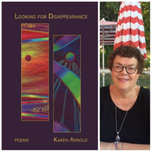 Looking for Disappearance by Karen Arnold