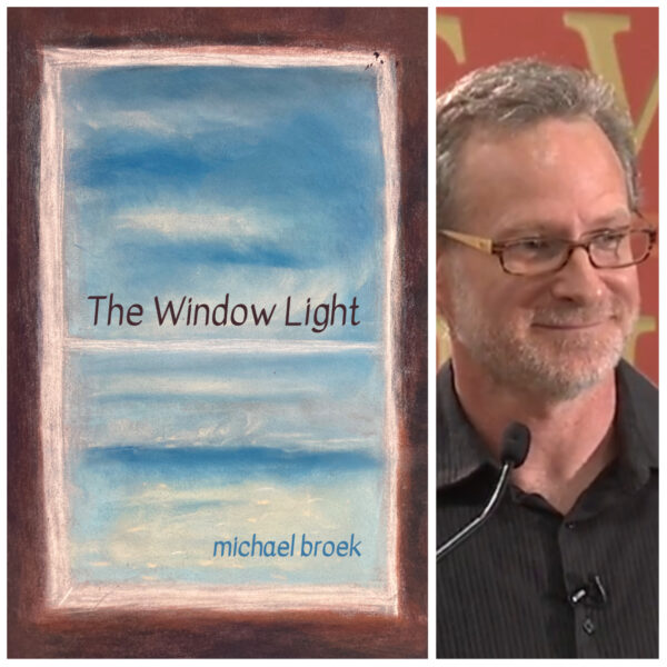 The Window Light by Michael Broek