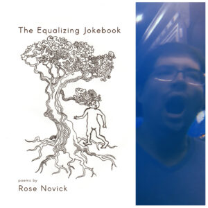 The Equalizing Jokebook by Rose Novick
