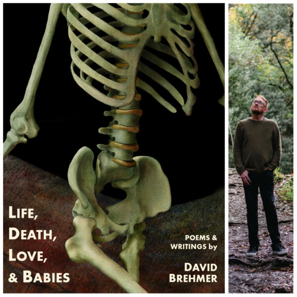 Life, Death, Love, and Babies by David Brehmer