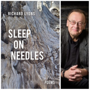 Sleep on Needles by Richard Lyons