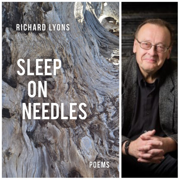 Sleep on Needles by Richard Lyons