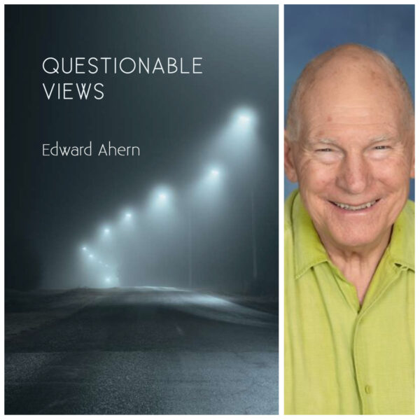 Questionable Views by Edward Ahern