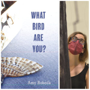 What Bird are You by Amy Bobeda