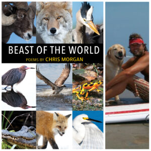 Beast of the World by Chris Morgan
