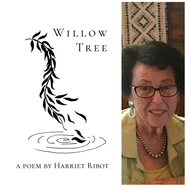 Willow Tree by Harriet Ribot