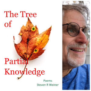The Tree of Partial Knowledge by Steven R Weiner