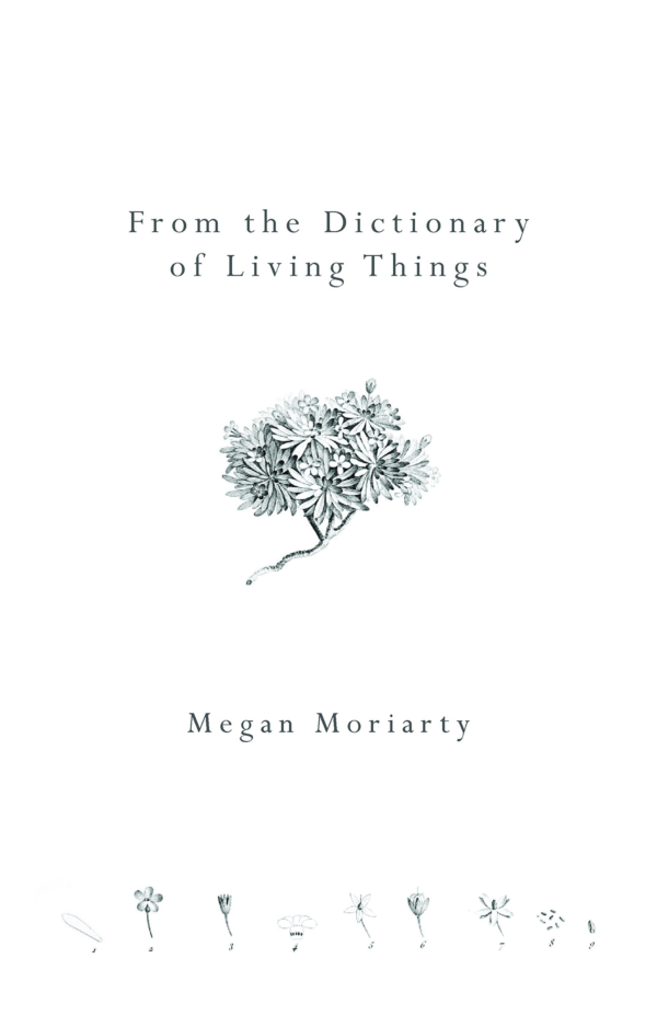 From the Dictionary of Living Things by Megan Moriarty