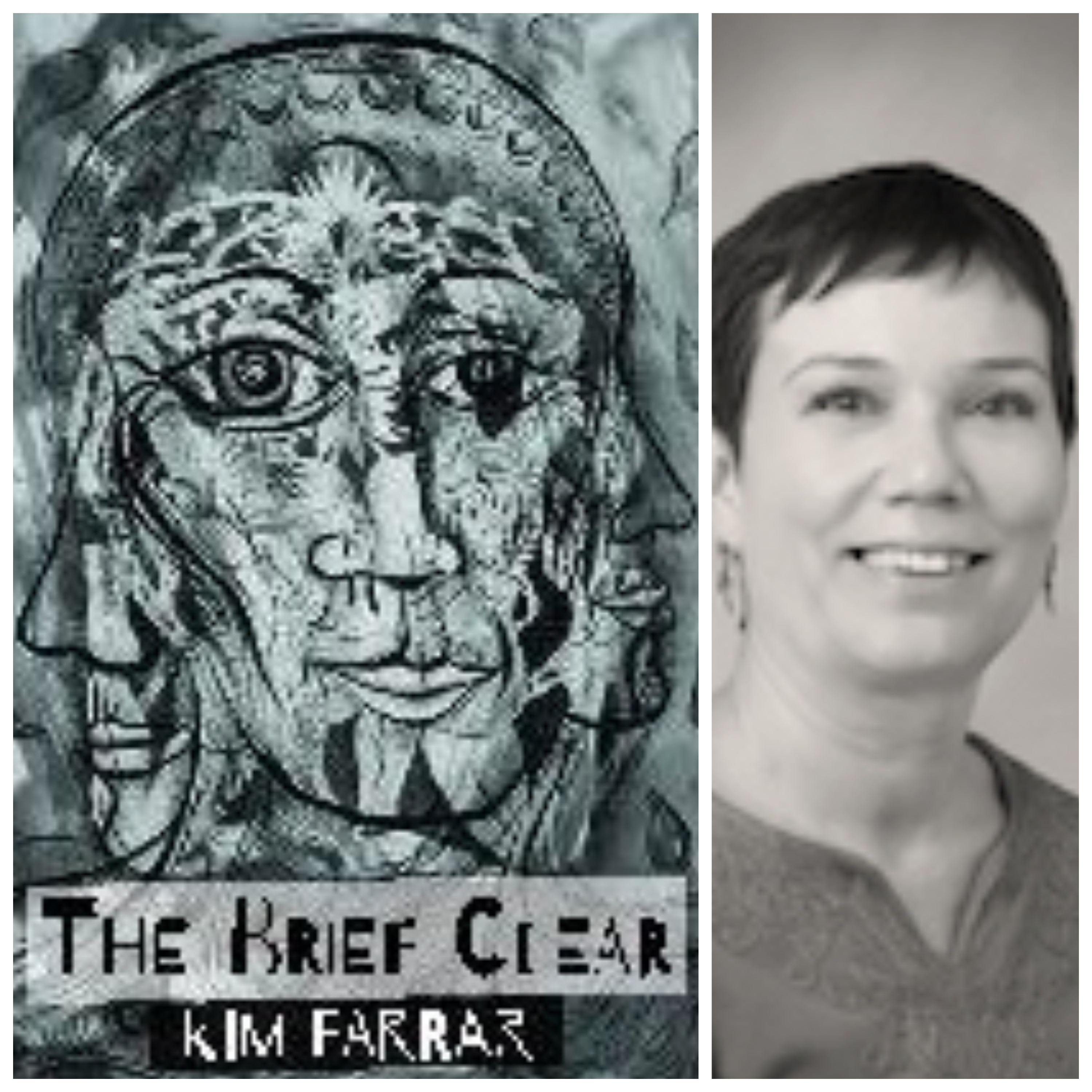 The Brief Clear by Kim Farrar