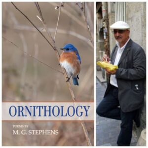 ORNITHOLOGY by M. G. Stephens
