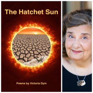 The Hatchet Sun by Victoria Dym