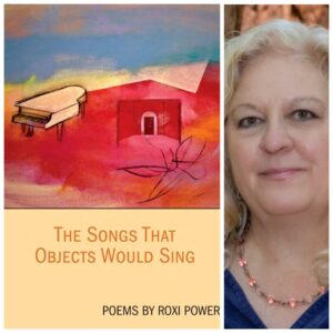 The Songs that Objects Would Sing by Roxi Power