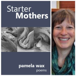 Starter Mothers by Pamela Wax