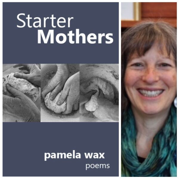 Starter Mothers by Pamela Wax